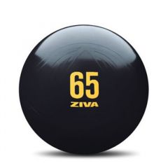 Piłka gimnastyczna ZIVA ANTI-BURST CORE-FIT Ball, 55 i 65 cm
