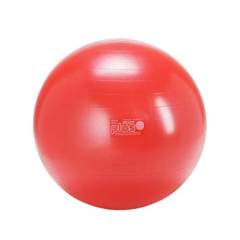 Piłka gimnastyczna Gymnic Classic Plus, 55 cm